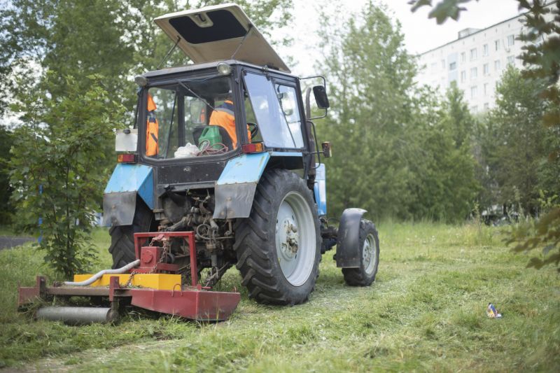 Pastures Bush Hogging
